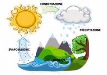 acqua 