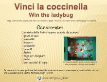 vinci la coccinella